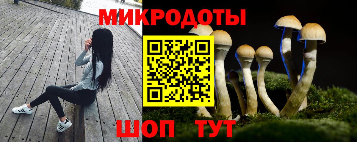 Псилоцибиновые грибы MAGIC MUSHROOMS Зима