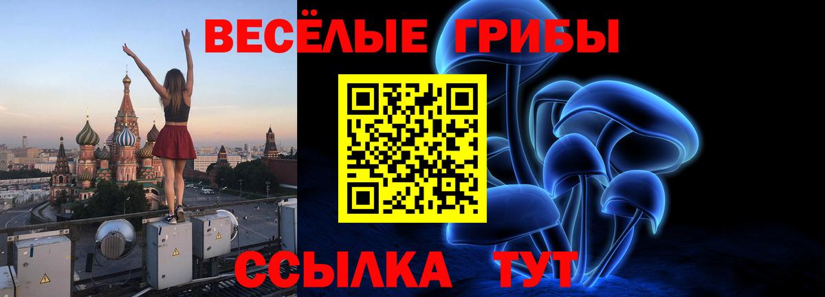 Галлюциногенные грибы прущие грибы  Вход с VPN  Зима  Галлюциногенные грибы мицелий 